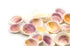 cockle shells